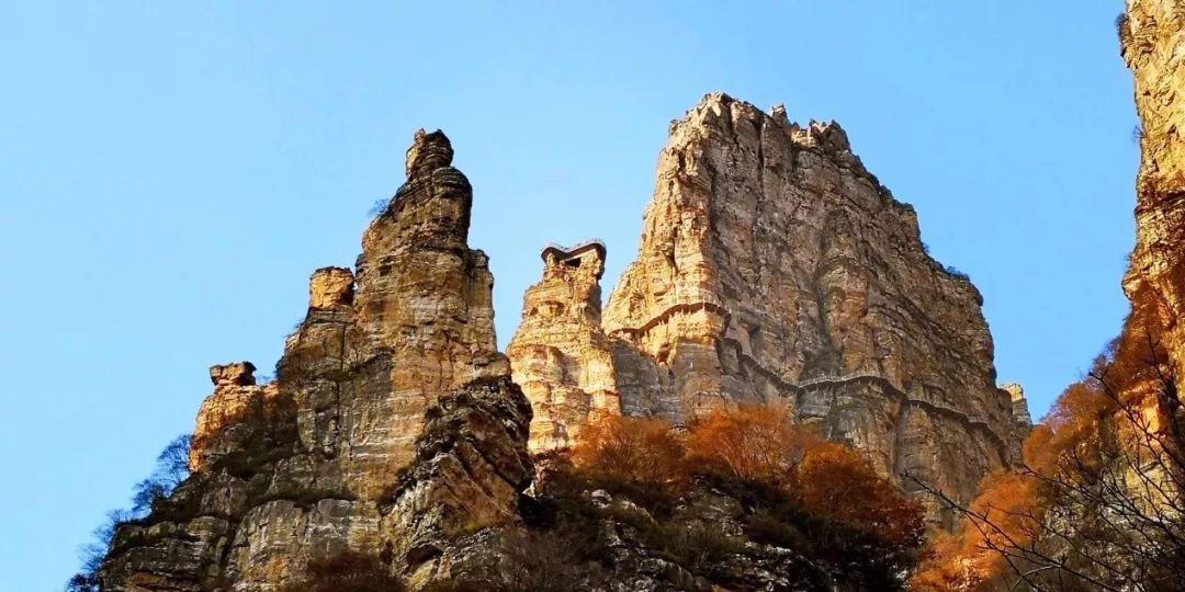 沪江开心词场