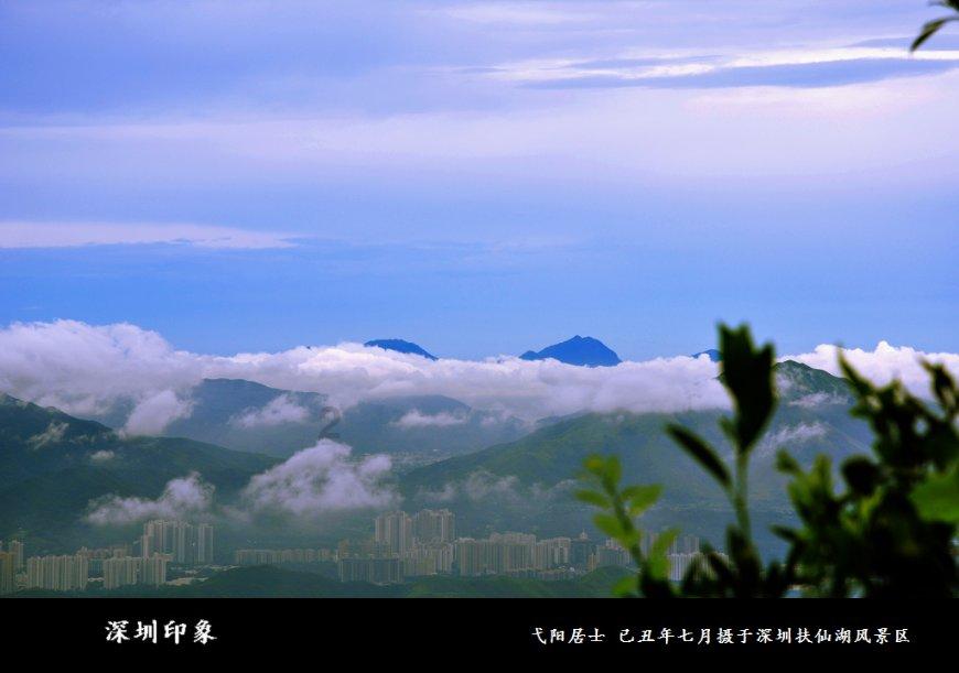 逗小猴开心系列201