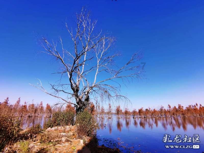 唐河县东王集乡：护航校园安全 开展寄宿制学校安全检查