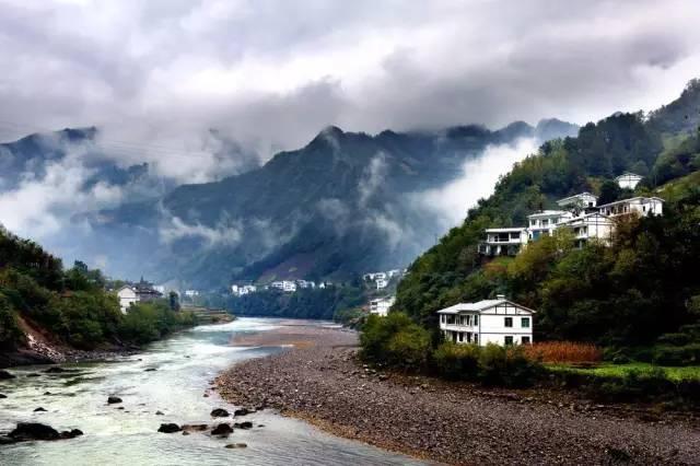 石灰粉撒在柑橘树叶片上有害吗？游戏画面