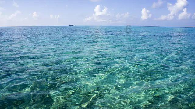 海之号角神秘海怪