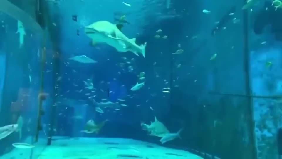 双点医院