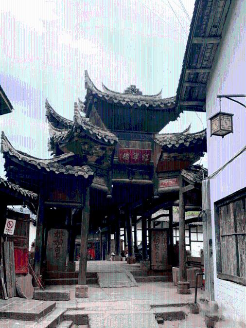 花叶子发黄怎么处理游戏画面